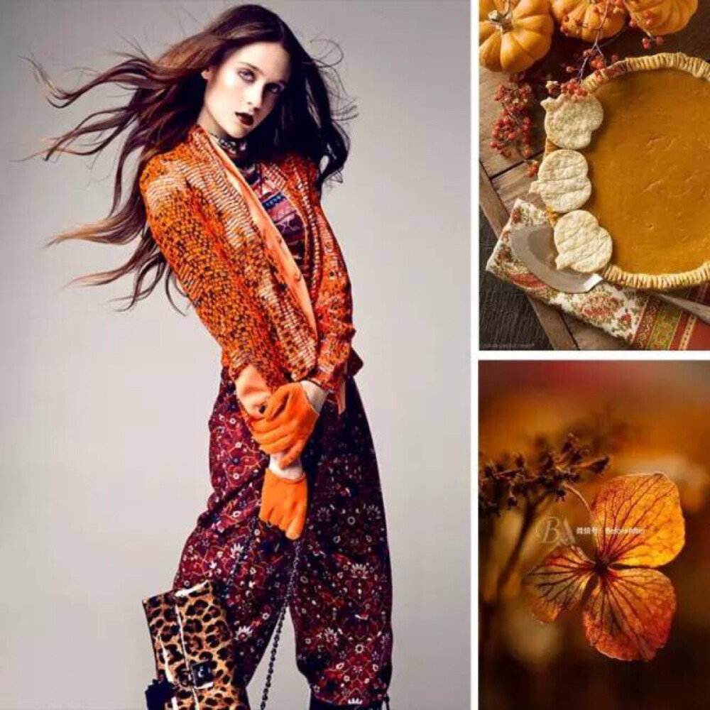 白色空间中，加入沙色或与爱马仕橙有近似色相的画眉鸟棕，作为地毯，沙发包布或窗帘色彩，爱马仕橙点缀，棕色系的自然与爱马仕橙的活跃，打造舒适自然的氛围。