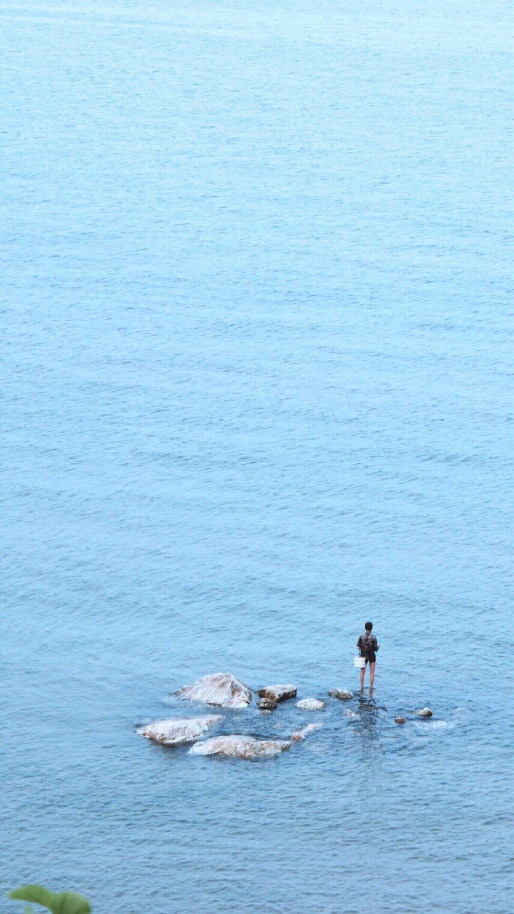 风景大海壁纸