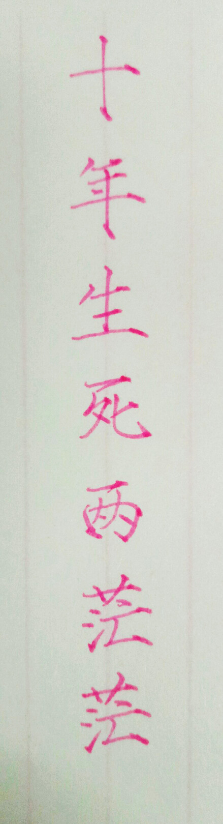 手写 练字 瘦金体 笔:慕娜美
十年生死两茫茫