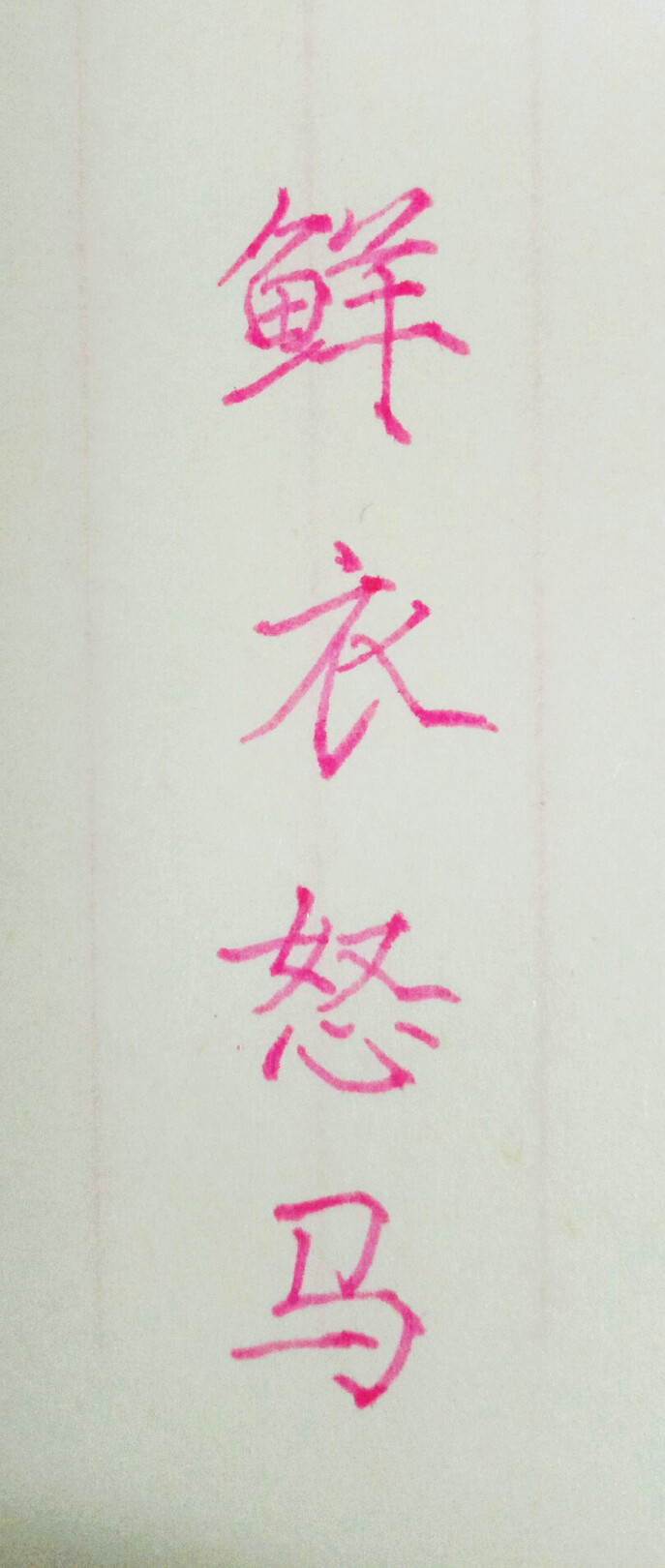 手写 练字 瘦金体 笔:慕娜美
鲜衣怒马