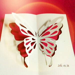 #辰未哒手工#●^●之前无聊剪的蝴蝶，没想到效果还不错