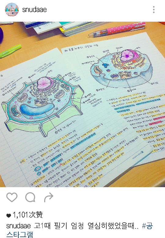 将生物学成艺术。