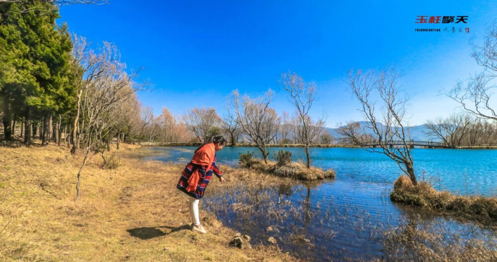 【玉龙雪山】旅行是生活的另一半@插画师陈大树——摄影 倪泰乐