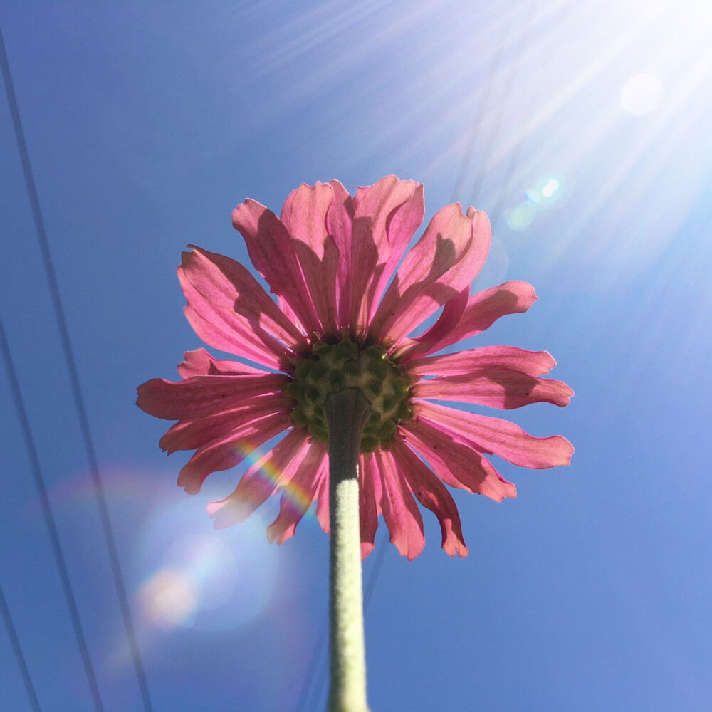 夏末秋初的明亮阳光 ☀