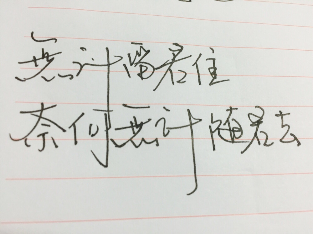 手写 无计留君住，奈何无计随君去。