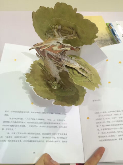 一定要多读书，否则看到这种书，就只会说：我天，这么有创意，我天，太棒了