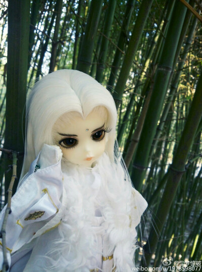 绮罗生joint-puppet