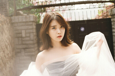 IU 花书签