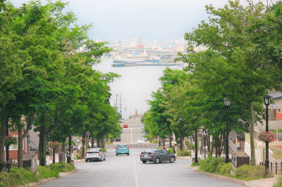 夏から秋にかけて
「 8/2016 In Otaru 」