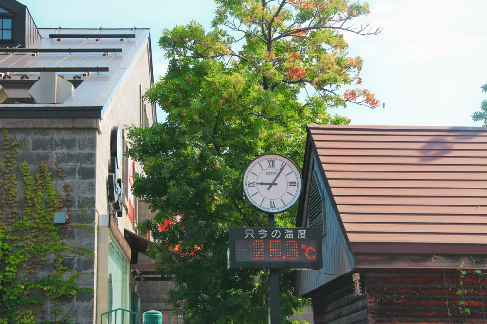 夏から秋にかけて
「 8/2016 In Otaru 」