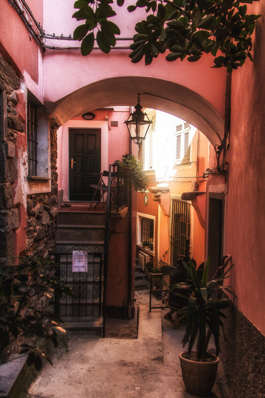 Vernazza,Cinque Terre, Italy(by Dennis Rogers)。意大利五渔村韦尔纳扎，是五渔村的五镇之一，座落在依山而建的层层葡萄架与柠檬树林下，是五渔村中最精致也是最热闹的小镇。小镇不大的港口旁是始建于1318年的圣玛格丽特大教堂，港口另一侧临海的岩石上有11世纪城堡的遗址。小镇的主街是罗马街，从海边广场直通到火车站。游客可以在罗马街的石路上悠闲漫步，顺便浏览两旁的工艺品小店和餐馆。