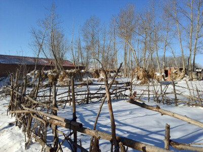 这不是草原，只是内蒙古的某个村子（姥姥家）里的夏末秋初
没有任何P图