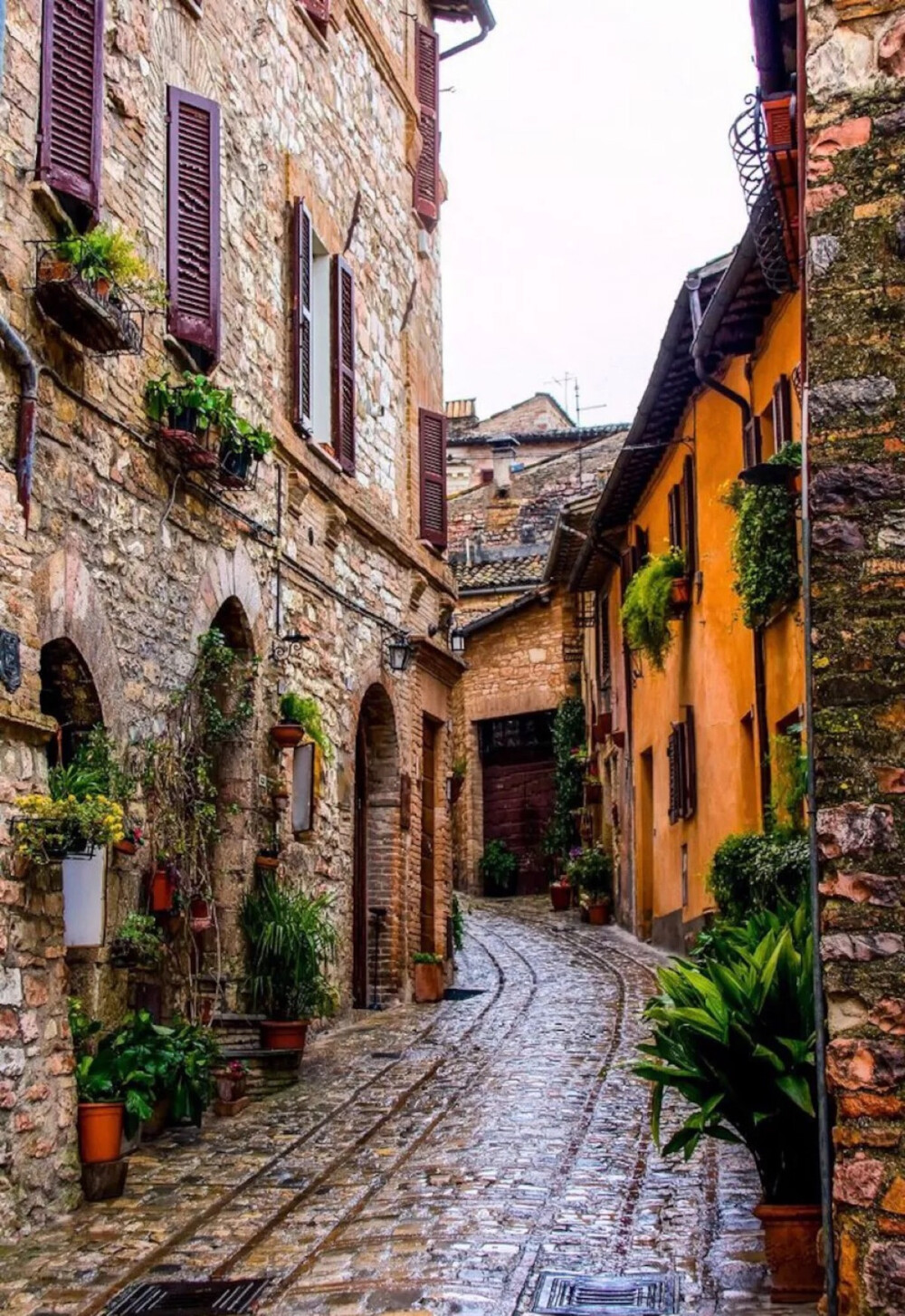 Spello, Umbria, Italy。意大利翁布里亚斯佩罗。有着田园诗般的乡村和山野，风景如画的翁布里亚被誉为“意大利的绿色心脏”。而斯佩罗本是非常素朴的中世纪小城，和翁布里亚其他城市差不多，石头是绝对的主角。斯佩罗建筑的百分之八十都是罗马时代遗迹，也就是说，斯佩罗是翁布里亚最古罗马的小镇。斯佩罗的鲜花节，意大利语是Infiorata，其实是翁布里亚小镇斯皮罗的圣体瞻礼仪式，这一天，斯皮罗的所有主要街道和广场上，都铺满干花屑组成的花毯，美轮美奂。这里的人格外喜爱鲜花，即使不是鲜花节，所有窗台阳台也都花团锦簇，方显清凉和艳丽。