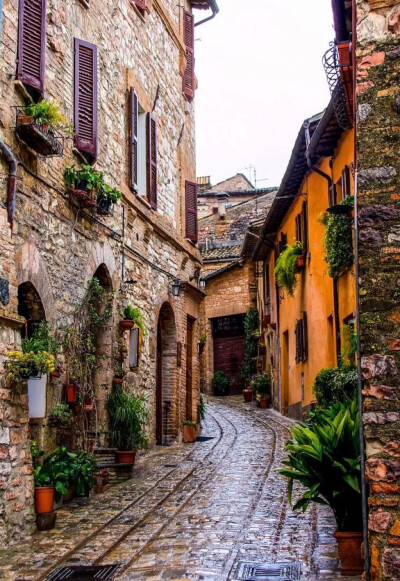 Spello, Umbria, Italy。意大利翁布里亚斯佩罗。有着田园诗般的乡村和山野，风景如画的翁布里亚被誉为“意大利的绿色心脏”。而斯佩罗本是非常素朴的中世纪小城，和翁布里亚其他城市差不多，石头是绝对的主角。斯佩…