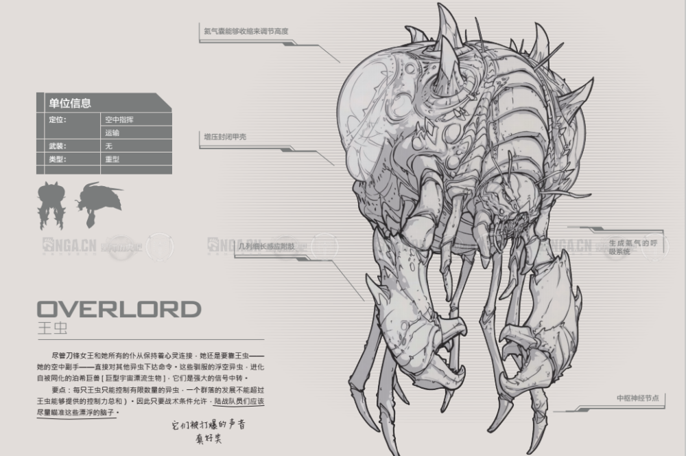 星际争霸 战地手册 可手绘 概念图