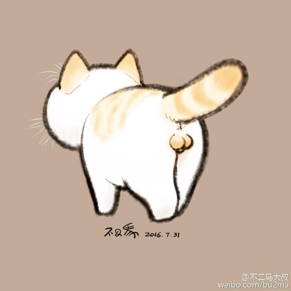 猫蛋蛋