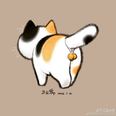 猫蛋蛋