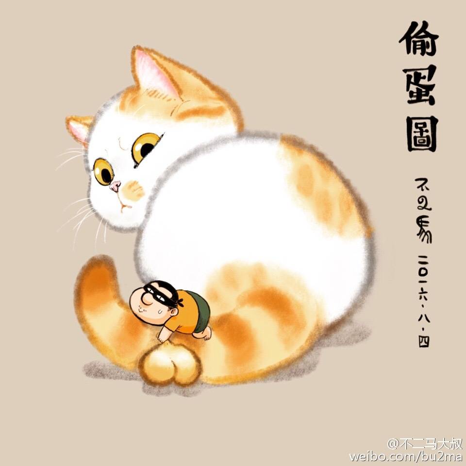 猫蛋蛋