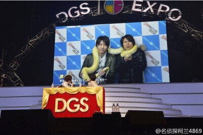 dgs expo
