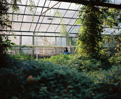 植物園。