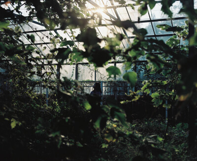 植物園。