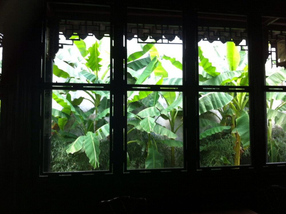 苏州园林听雨轩