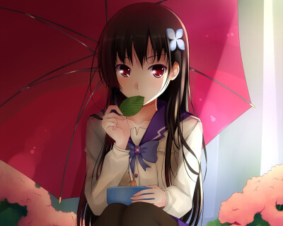 Sankarea 