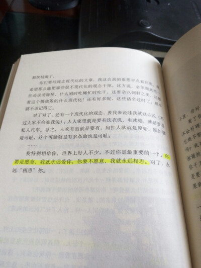 你要是愿意，我就永远爱你，
你要是不愿意，我就永远相思。
——《王小波全集 第九卷》