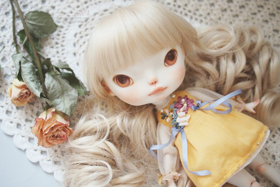 Sooya's dolls