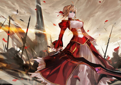 对魔力：C
无效化以二工程以下咏唱引起的魔术。不能防御大魔术、礼仪咒法等，大规模的魔术。由于她本身毫无对魔力，所以对魔力低到能号称Saber职阶不应有。