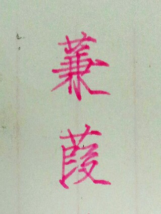 手写 练字 瘦金体 蒹葭苍苍 