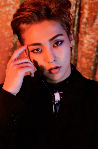 EXO XIUMIN 金珉锡