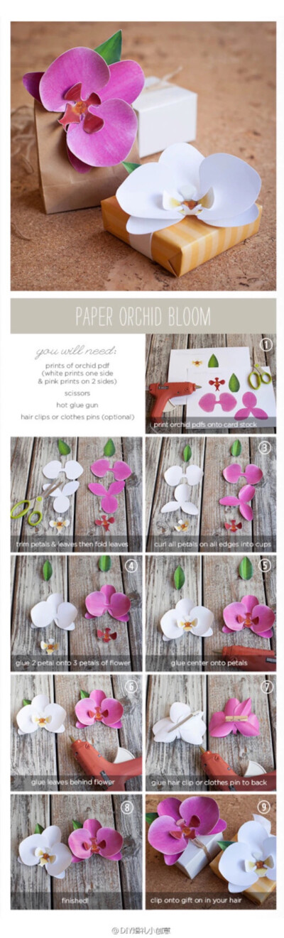 diy纸艺蝴蝶兰