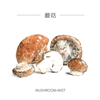 猫邪出品，手绘水彩系列插画。蘑菇。https://item.taobao.com/item.htm?scm=12306.300.0.0&id=537054148948