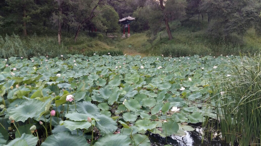 承德避暑山庄