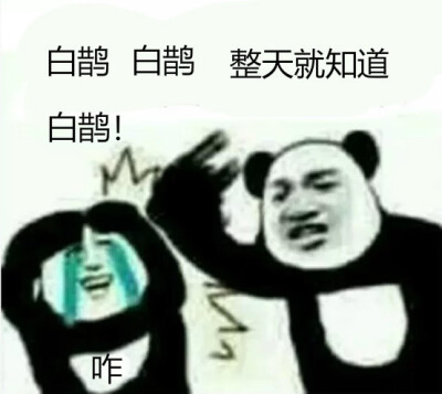 白鹊 李白 扁鹊 农药 王者荣耀