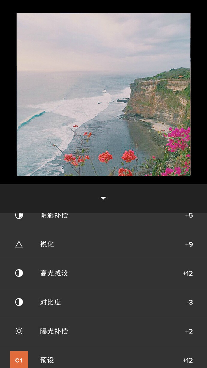 VSCO 步骤： ☞ 滤镜C1 ☞ 曝光补偿+2 ☞ 对比度-3 ☞ 高光减淡+12 ☞ 锐化+9 ☞ 阴影补偿+5