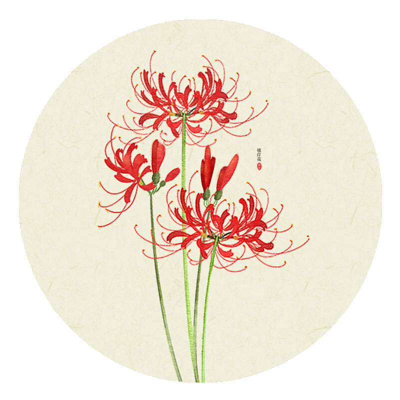 〔 莳花景 〕 °