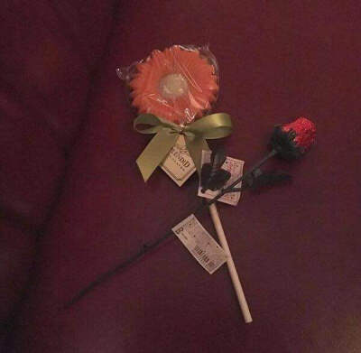 爱上一匹野马可我的家里没有草原 背景图 -----玉婷