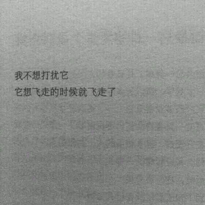 背景图 键盘图 -----玉婷