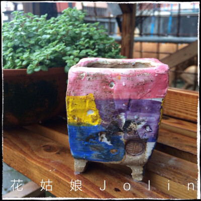 油画风格多肉花盆，淘宝店:花姑娘Jolin 有售