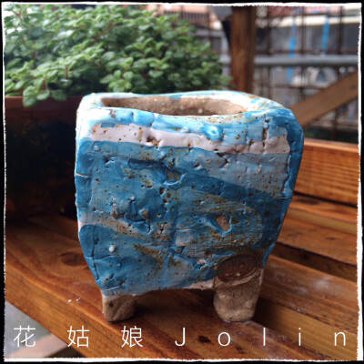 油画风格多肉花盆，淘宝店:花姑娘Jolin 有售