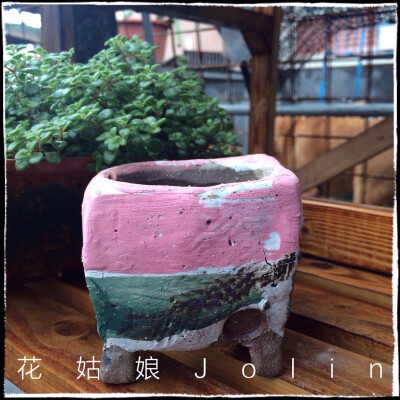 油画风格多肉花盆，淘宝店:花姑娘Jolin 有售