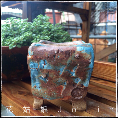 油画风格多肉花盆，淘宝店:花姑娘Jolin 有售