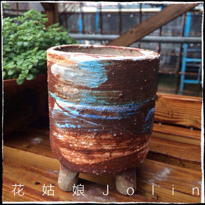 油画风格多肉花盆，淘宝店:花姑娘Jolin 有售