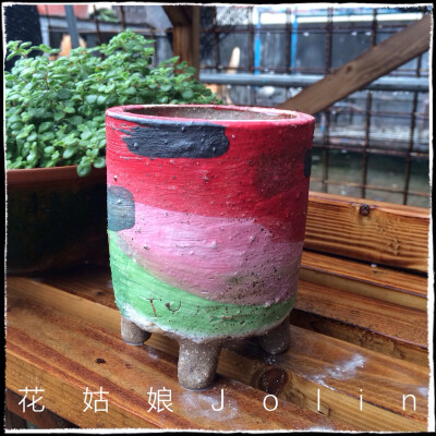 油画风格多肉花盆，淘宝店:花姑娘Jolin 有售