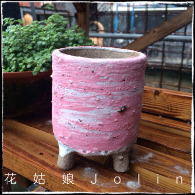 油画风格多肉花盆，淘宝店:花姑娘Jolin 有售