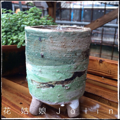 油画风格多肉花盆，淘宝店:花姑娘Jolin 有售