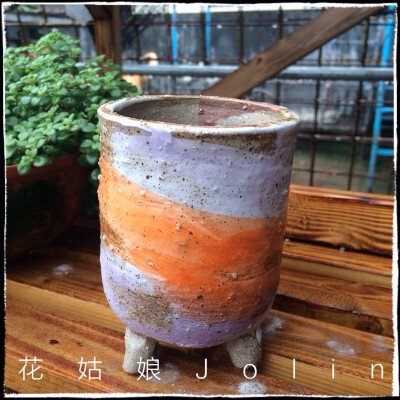 油画风格多肉花盆，淘宝店:花姑娘Jolin 有售