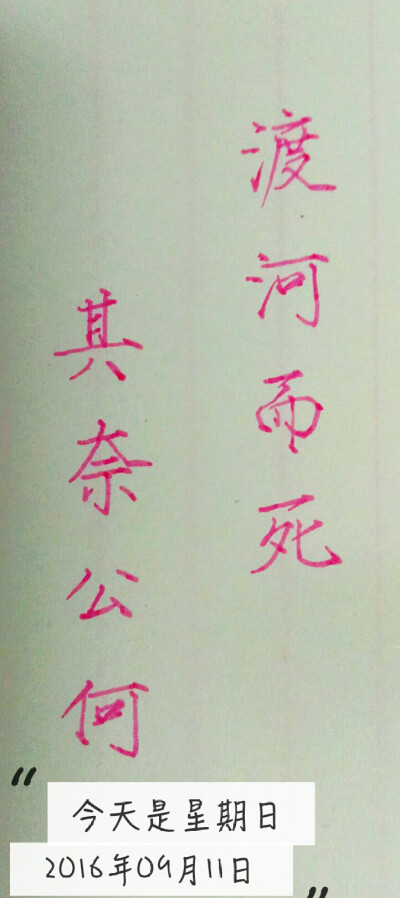 手写 练字 瘦金体 笔:慕娜美 公无渡河，公竟渡河，渡河而死，其奈公何